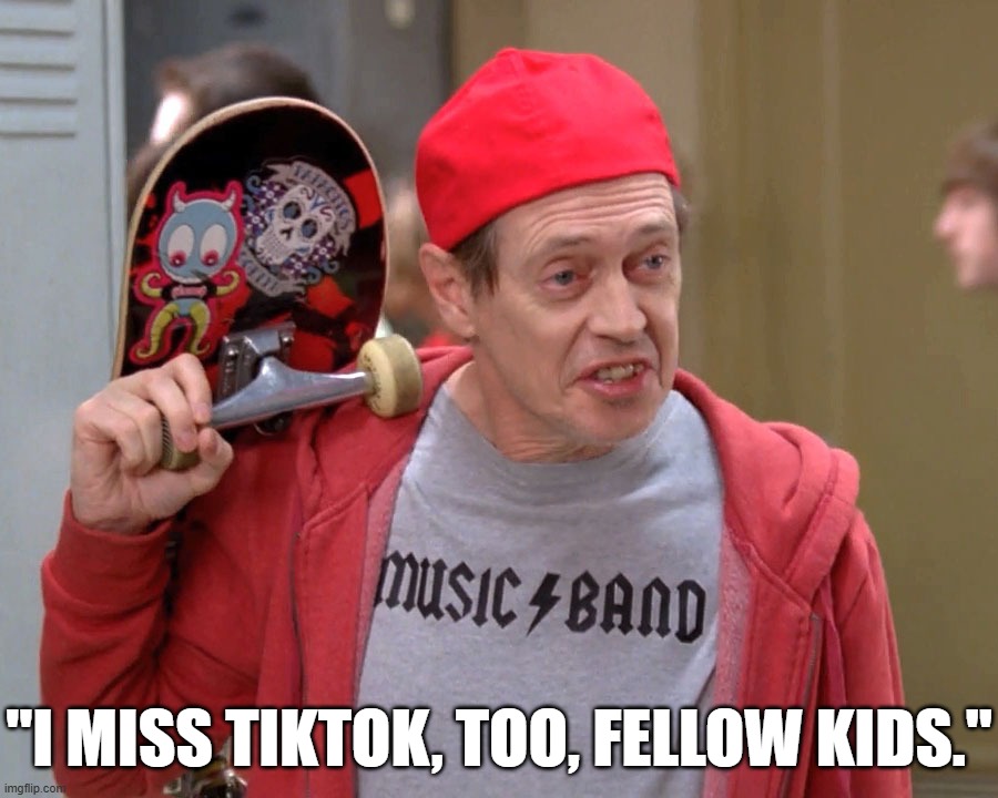 RIP TikTok | "I MISS TIKTOK, TOO, FELLOW KIDS." | image tagged in steve buscemi fellow kids,tiktok | made w/ Imgflip meme maker