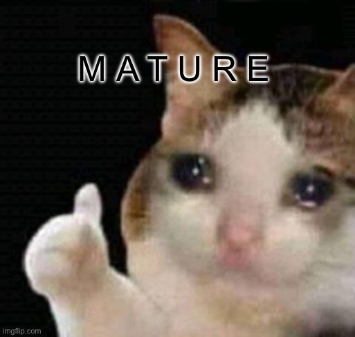 sad thumbs up cat | M A T U R E | image tagged in sad thumbs up cat | made w/ Imgflip meme maker