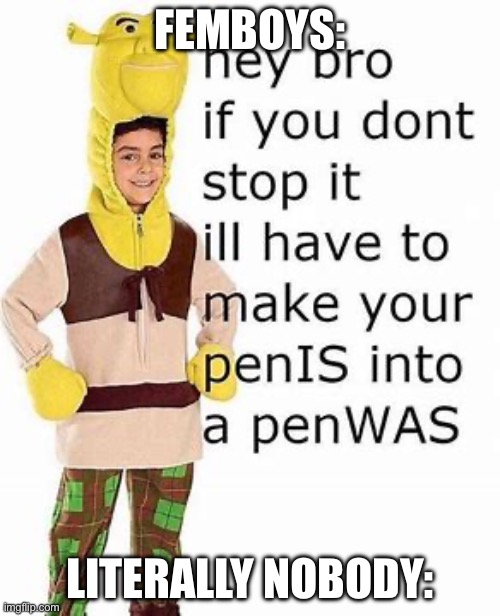 Shrek cosplay | FEMBOYS:; LITERALLY NOBODY: | image tagged in shrek cosplay | made w/ Imgflip meme maker