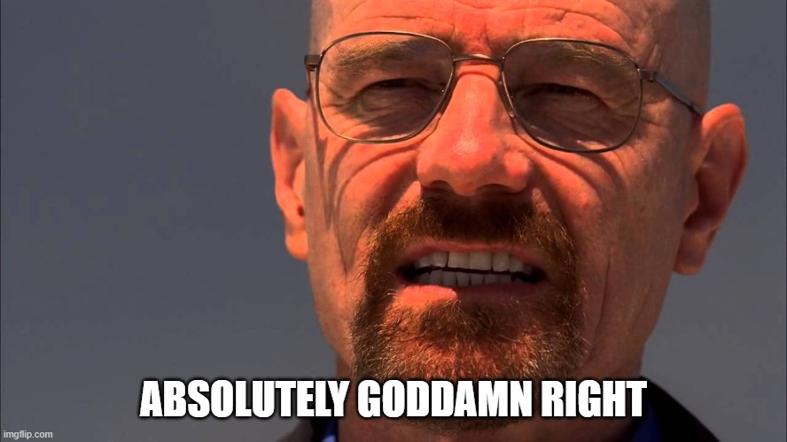 Walter White | ABSOLUTELY GODDAMN RIGHT | image tagged in walter white | made w/ Imgflip meme maker