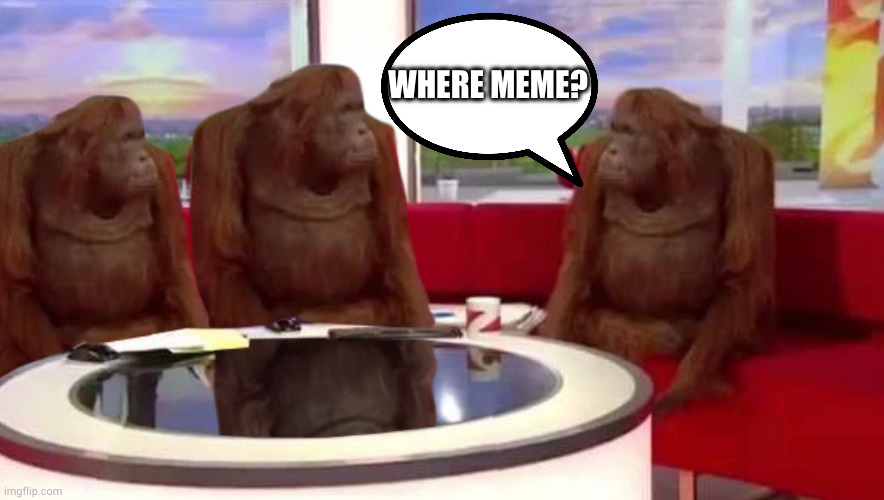 where monkey | WHERE MEME? | image tagged in where monkey | made w/ Imgflip meme maker