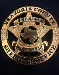 Brazoria County Sheriff's Office Blue Line Blank Meme Template