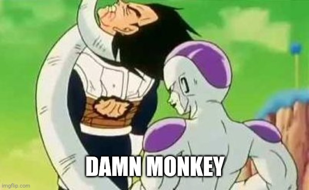 vegeta getting choked | DAMN MONKEY | image tagged in vegeta getting choked | made w/ Imgflip meme maker