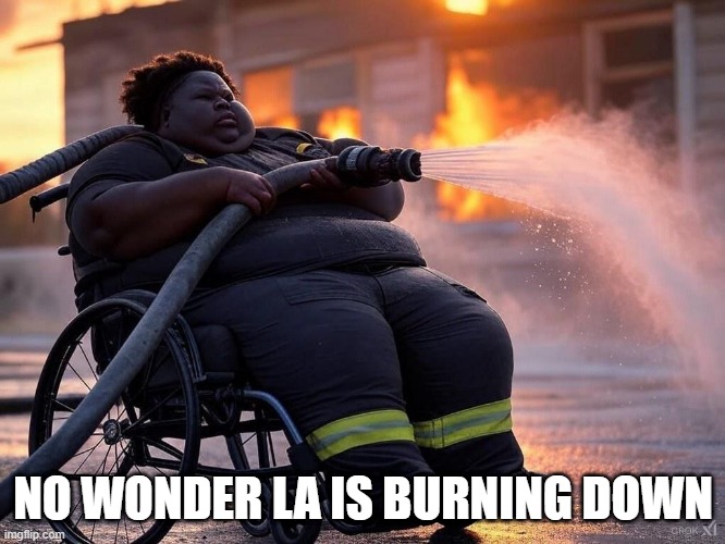 LA Fire fighter | NO WONDER LA IS BURNING DOWN | image tagged in dark humor | made w/ Imgflip meme maker