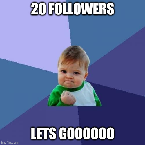 i know i sound like a 5 year old but who cares | 20 FOLLOWERS; LETS GOOOOOO | image tagged in memes,success kid | made w/ Imgflip meme maker