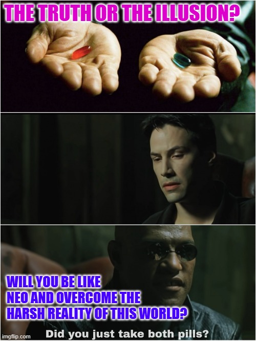 The Truth or the illusion | THE TRUTH OR THE ILLUSION? WILL YOU BE LIKE NEO AND OVERCOME THE HARSH REALITY OF THIS WORLD? | image tagged in did you just take both pills | made w/ Imgflip meme maker