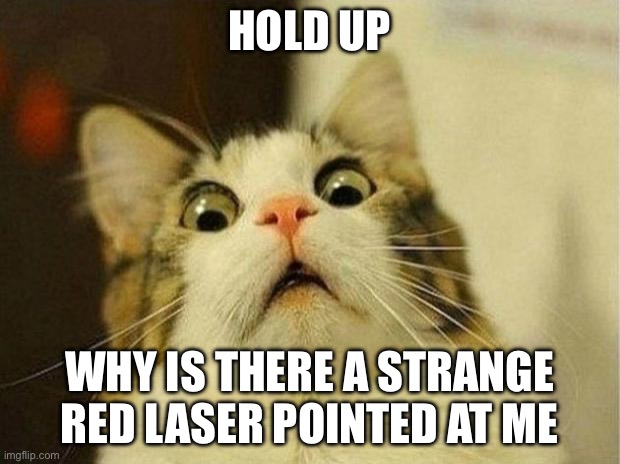 Scared Cat | HOLD UP; WHY IS THERE A STRANGE RED LASER POINTED AT ME | image tagged in memes,scared cat | made w/ Imgflip meme maker