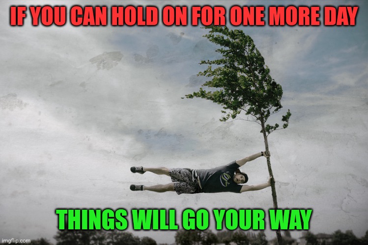 Hold on | IF YOU CAN HOLD ON FOR ONE MORE DAY; THINGS WILL GO YOUR WAY | image tagged in hanging on,funny memes | made w/ Imgflip meme maker