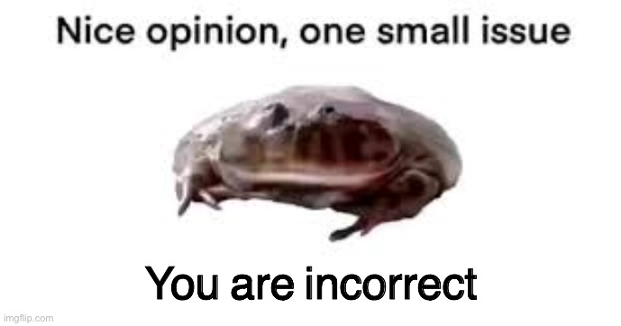 You are incorrect | image tagged in nice opinion one small issue | made w/ Imgflip meme maker