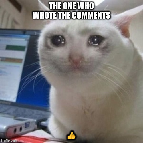 Crying cat | THE ONE WHO WROTE THE COMMENTS; 👍 | image tagged in crying cat | made w/ Imgflip meme maker