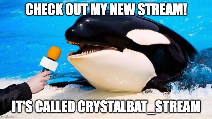 Orca talking into a microphone | CHECK OUT MY NEW STREAM! IT'S CALLED CRYSTALBAT_STREAM | image tagged in orca talking into a microphone | made w/ Imgflip meme maker