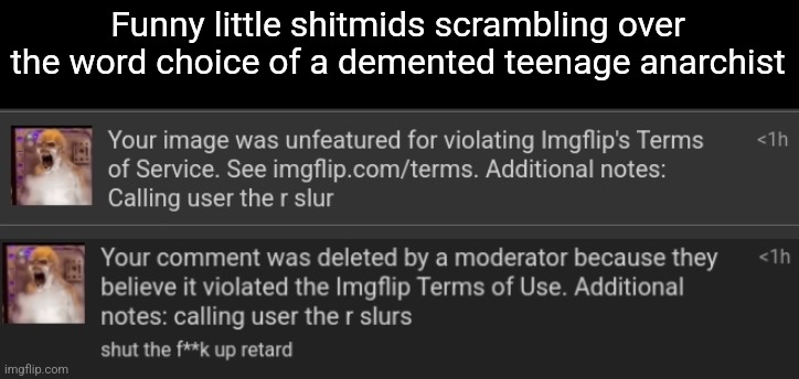 Funny little shitmids scrambling over the word choice of a demented teenage anarchist | made w/ Imgflip meme maker