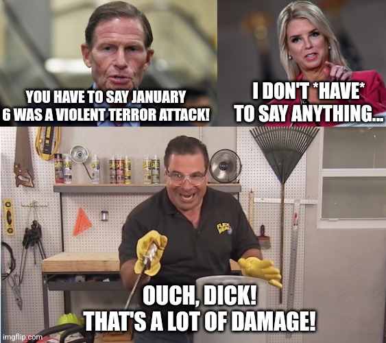 Dick Blumenthal Lost | I DON'T *HAVE* TO SAY ANYTHING... YOU HAVE TO SAY JANUARY 6 WAS A VIOLENT TERROR ATTACK! OUCH, DICK!
THAT'S A LOT OF DAMAGE! | image tagged in dirty dick blumenthal phony,pam bondi,phil swift that's a lotta damage flex tape/seal | made w/ Imgflip meme maker