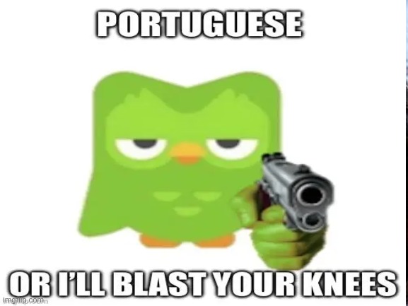 WTF DUO | image tagged in memes | made w/ Imgflip meme maker