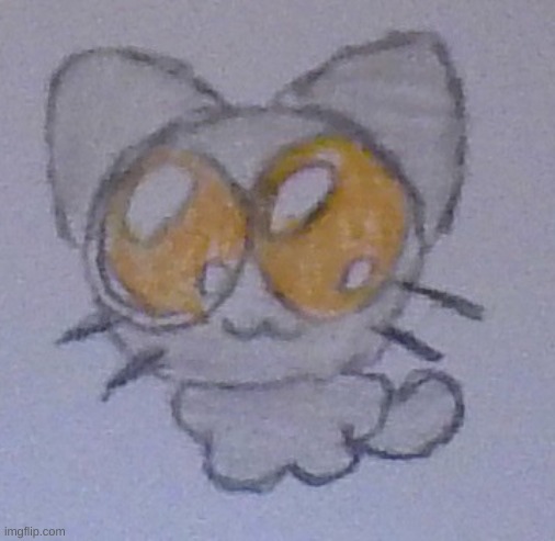 CC was turned into a cat | made w/ Imgflip meme maker
