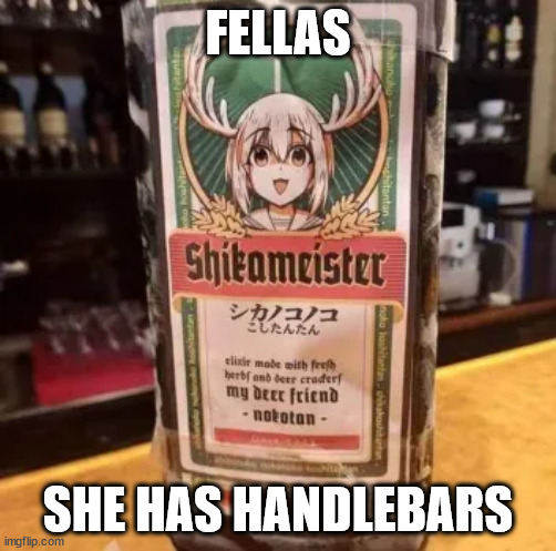 fellas... | FELLAS; SHE HAS HANDLEBARS | made w/ Imgflip meme maker