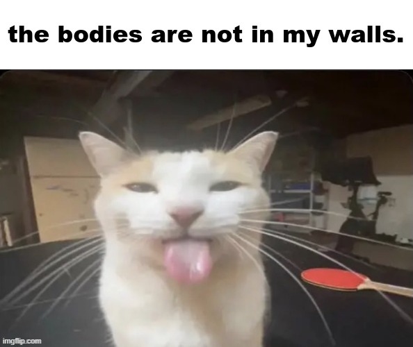 the bodies are not in my walls. | image tagged in the bodies are not in my walls | made w/ Imgflip meme maker