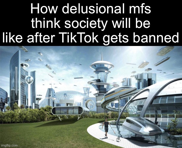 . | How delusional mfs think society will be like after TikTok gets banned | image tagged in the future world if | made w/ Imgflip meme maker