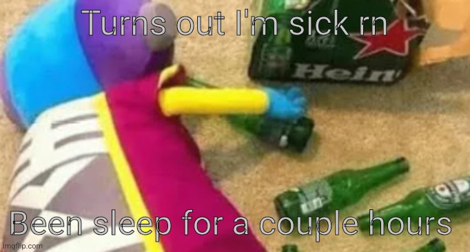 Idiot | Turns out I'm sick rn; Been sleep for a couple hours | image tagged in idiot | made w/ Imgflip meme maker