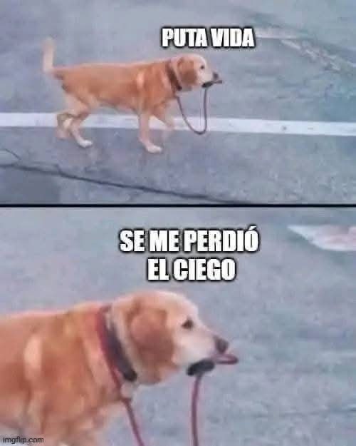 9gtfpz.jpg