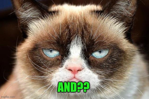 Grumpy Cat Not Amused Meme | AND?? | image tagged in memes,grumpy cat not amused,grumpy cat | made w/ Imgflip meme maker