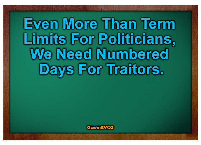 Even more than... | Even More Than Term 

Limits For Politicians, 

We Need Numbered 

Days For Traitors. OzwinEVCG | image tagged in traitors,term limits,crime,punishment,politicians suck,world occupied | made w/ Imgflip meme maker