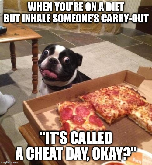 Hungry Pizza Dog | WHEN YOU'RE ON A DIET BUT INHALE SOMEONE'S CARRY-OUT; "IT'S CALLED A CHEAT DAY, OKAY?" | image tagged in hungry pizza dog | made w/ Imgflip meme maker