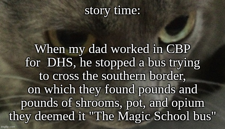 Sweetie | When my dad worked in CBP for  DHS, he stopped a bus trying to cross the southern border, on which they found pounds and pounds of shrooms, pot, and opium
they deemed it "The Magic School bus"; story time: | image tagged in sweetie | made w/ Imgflip meme maker