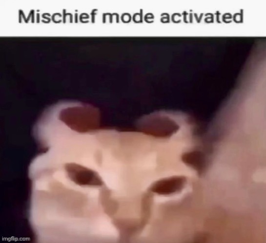 Everytime I listen to goo goo muck and I'm home alone I'm mischievous | image tagged in mischief mode activated | made w/ Imgflip meme maker
