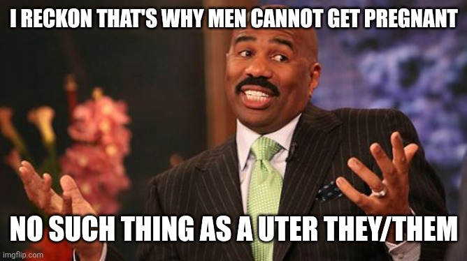 I RECKON THAT'S WHY MEN CANNOT GET PREGNANT NO SUCH THING AS A UTER THEY/THEM | image tagged in memes,steve harvey | made w/ Imgflip meme maker