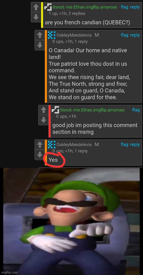 image tagged in luigi laughing | made w/ Imgflip meme maker