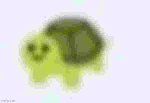 extremely low quality turtle | image tagged in low quality turtle | made w/ Imgflip meme maker