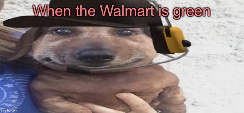 Day 1 of “A caption of every TF2 meme” | When the Walmart is green | image tagged in chucklenuts,tf2,walmart,series | made w/ Imgflip meme maker