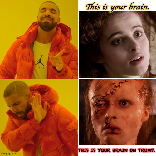 Trumpenstein's monster. | This is your brain. THIS IS YOUR BRAIN ON TRUMP. | image tagged in reverse drake,memes,trump | made w/ Imgflip meme maker