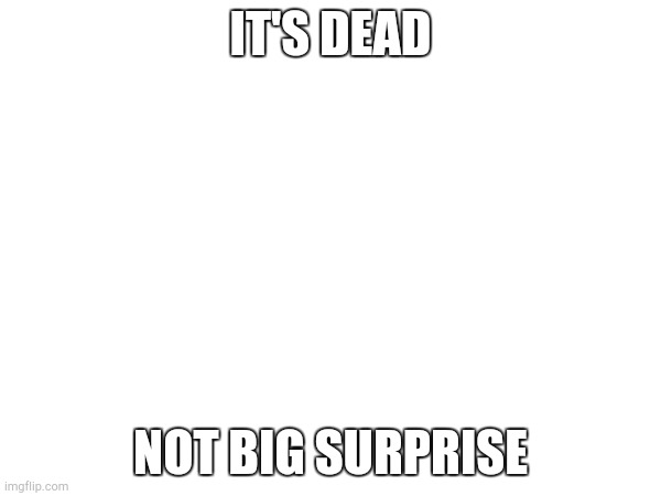 Oh Man | IT'S DEAD; NOT BIG SURPRISE | image tagged in image tags | made w/ Imgflip meme maker