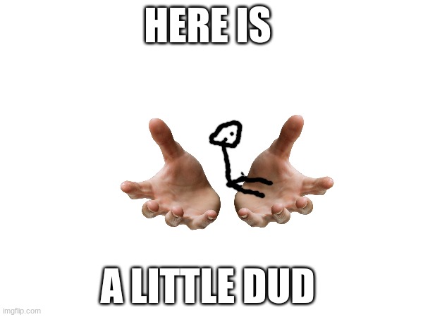 little dud | HERE IS; A LITTLE DUD | image tagged in tiny | made w/ Imgflip meme maker