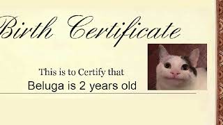 High Quality birth certificate Blank Meme Template