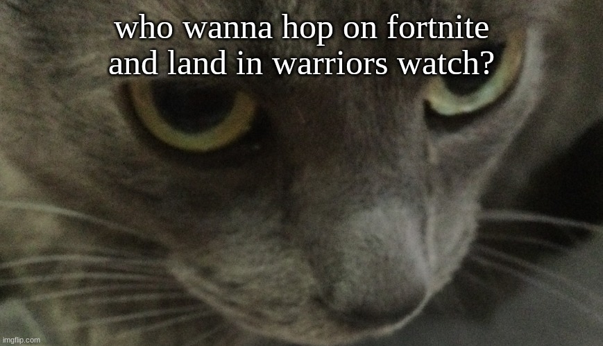 Sweetie | who wanna hop on fortnite and land in warriors watch? | image tagged in sweetie | made w/ Imgflip meme maker