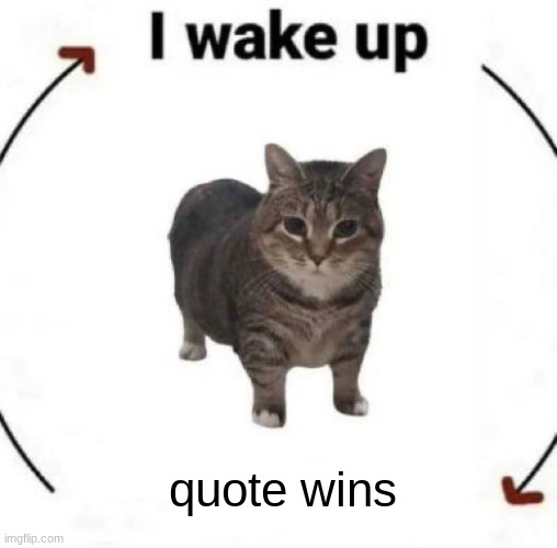 i wake up cat | quote wins | image tagged in i wake up cat | made w/ Imgflip meme maker