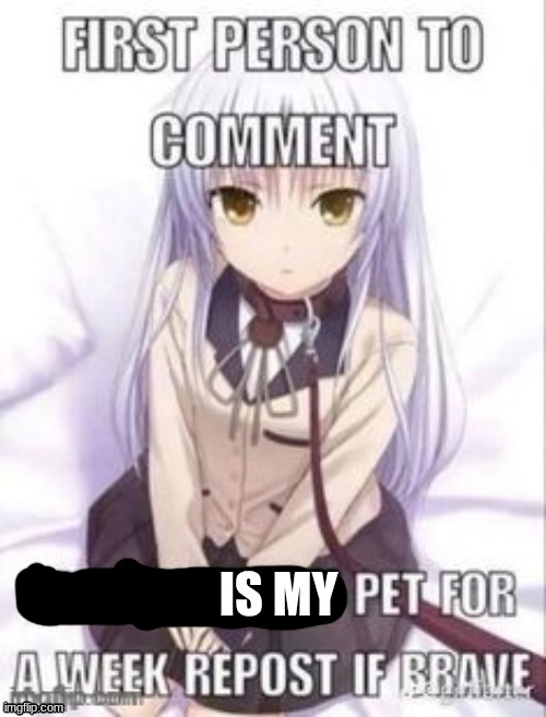 first person to comment owns as a pet for a week | IS MY | image tagged in first person to comment owns as a pet for a week | made w/ Imgflip meme maker