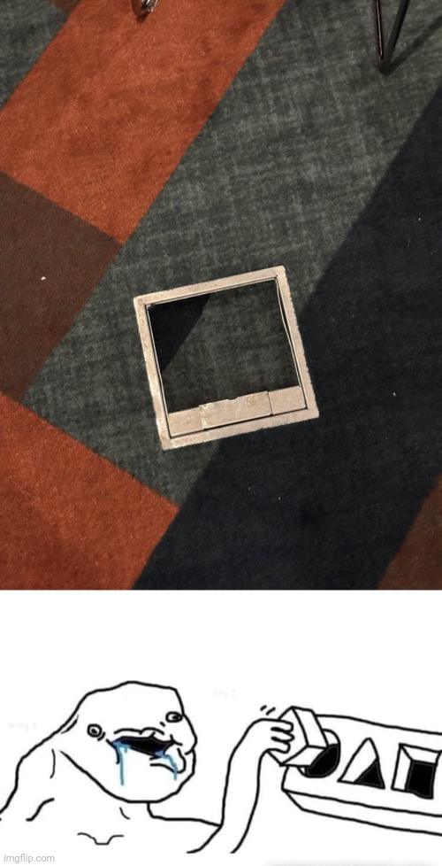 Carpet fail | image tagged in stupid dumb drooling puzzle,carpet,you had one job,tiles,memes,tile | made w/ Imgflip meme maker