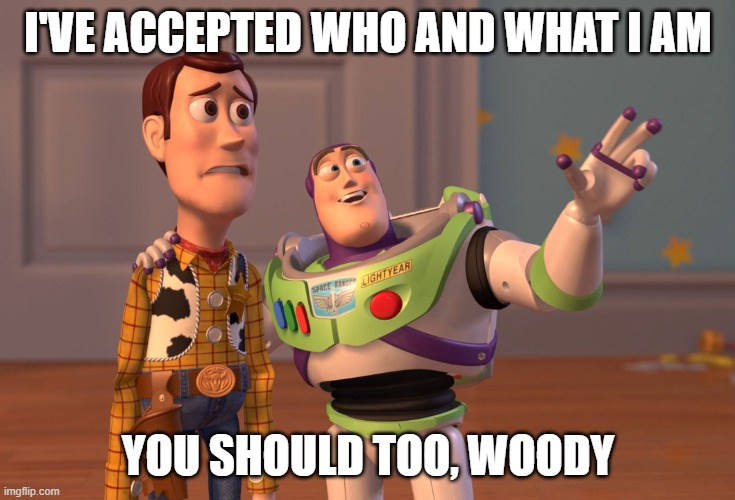 what if? | I'VE ACCEPTED WHO AND WHAT I AM; YOU SHOULD TOO, WOODY | image tagged in memes,x x everywhere | made w/ Imgflip meme maker