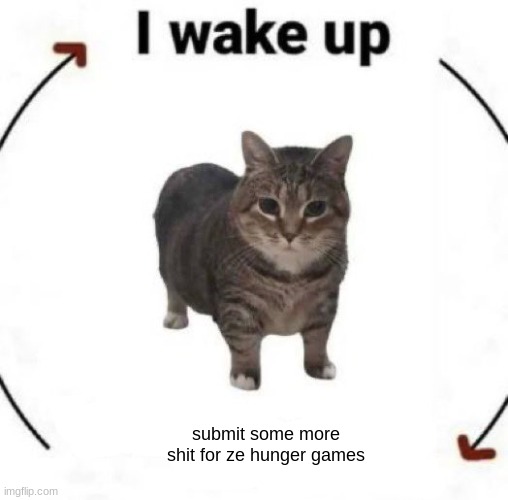 i wake up cat | submit some more shit for ze hunger games | image tagged in i wake up cat | made w/ Imgflip meme maker