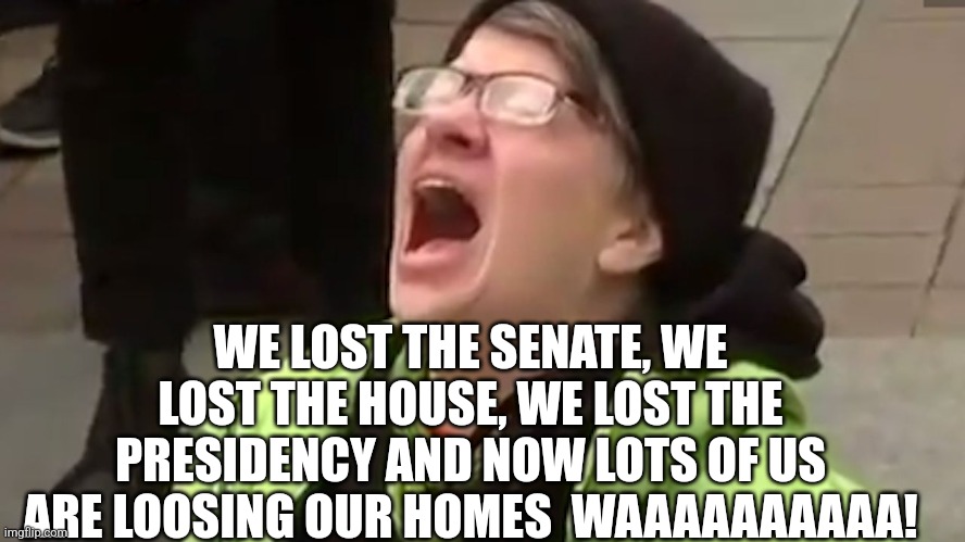 Screaming Liberal  | WE LOST THE SENATE, WE LOST THE HOUSE, WE LOST THE PRESIDENCY AND NOW LOTS OF US ARE LOOSING OUR HOMES  WAAAAAAAAAA! | image tagged in screaming liberal | made w/ Imgflip meme maker