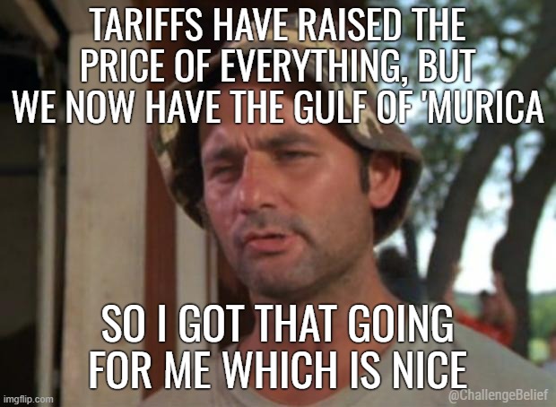 Tariffs vs Gulf of 'Murica | TARIFFS HAVE RAISED THE PRICE OF EVERYTHING, BUT WE NOW HAVE THE GULF OF 'MURICA; SO I GOT THAT GOING FOR ME WHICH IS NICE; @ChallengeBelief | image tagged in memes,so i got that goin for me which is nice | made w/ Imgflip meme maker