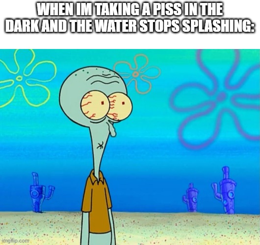 proceeds to feel splash back on his pants | WHEN IM TAKING A PISS IN THE DARK AND THE WATER STOPS SPLASHING: | image tagged in scared squidward,relatable,boys | made w/ Imgflip meme maker