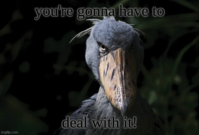 anywhere you go post this when you need to? | you're gonna have to; deal with it! | image tagged in shoebill,deal with it,memes,ohio,not nsfw,skibidi toilet sucks | made w/ Imgflip meme maker