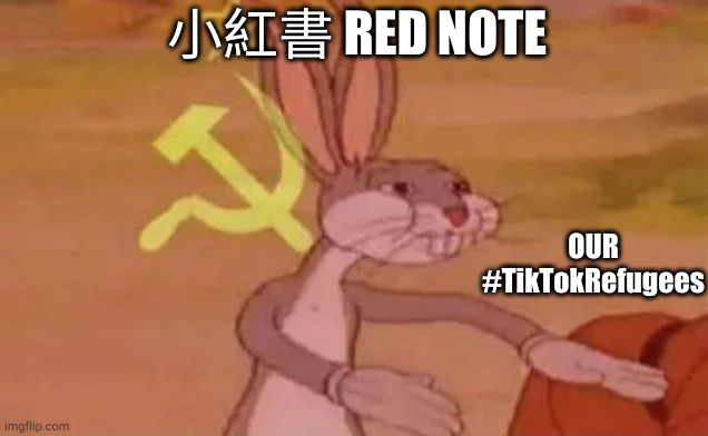 take my data | 小紅書 RED NOTE; OUR #TikTokRefugees | image tagged in bugs bunny communist,tiktokrefugee,lemon8,radical,rednote | made w/ Imgflip meme maker