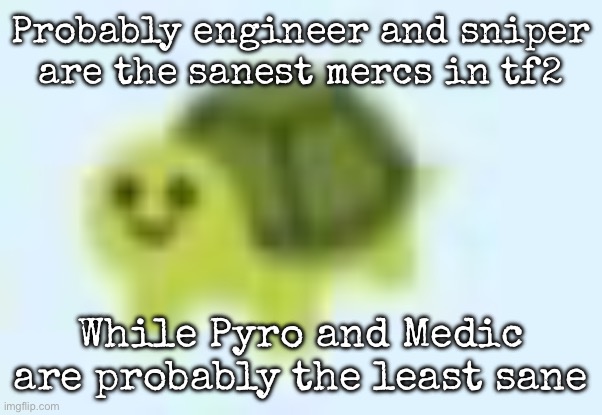 low quality turtle | Probably engineer and sniper are the sanest mercs in tf2; While Pyro and Medic are probably the least sane | image tagged in low quality turtle,msmg | made w/ Imgflip meme maker