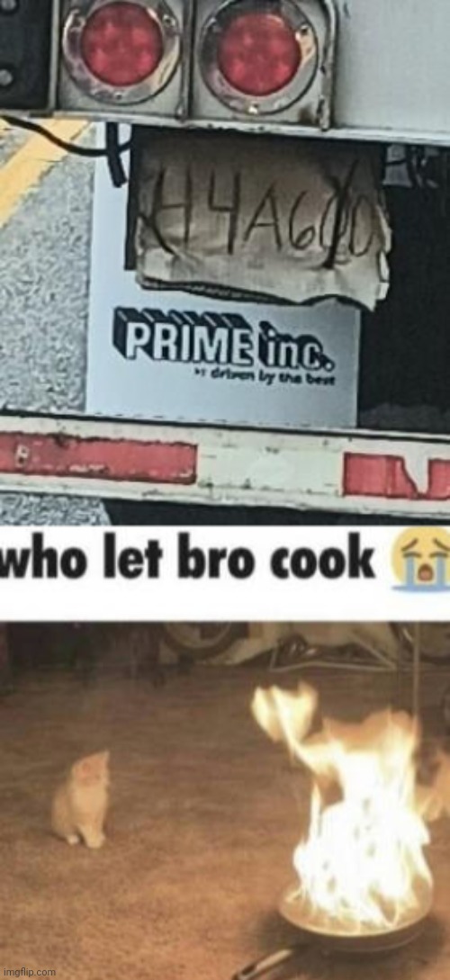 License plate fail, Prime is a crime. | image tagged in who let bro cook,license plate,you had one job,memes,vehicle,vehicles | made w/ Imgflip meme maker